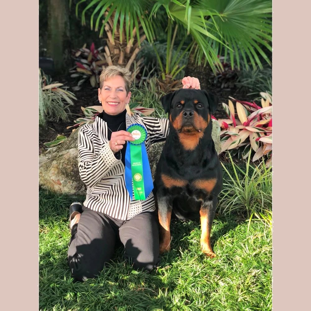 Grand Champion German Rottweiler Fritz